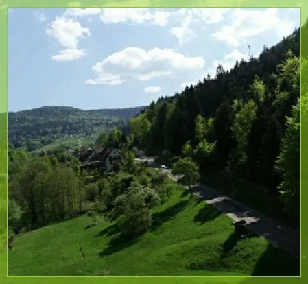 Drohnenluftaufnahme Landschaft.Straße am Waldrand.